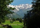Lyskamm (7)